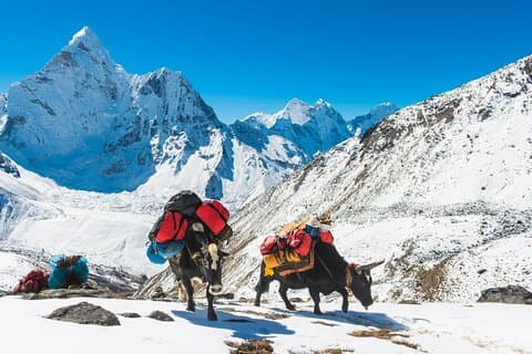 Katmandu: Everest Base Camp Trekking 14 dage All Inclusive