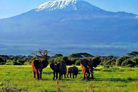 3 Days Amboseli by Flight from Mombasa / Diani (min 2 persons)
