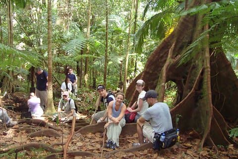 St. Kitts Rainforest Rumble (with Snacks)