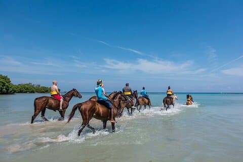 Lethe Bamboo Rafting ATV Horseback ridetur i Montego Bay