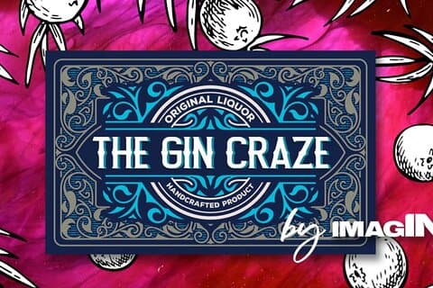 London Gin Craze – Das ultimative Gin-Erlebnis