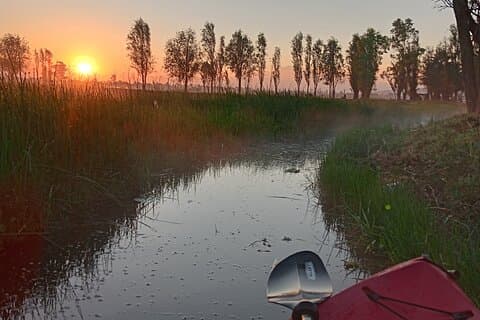 Excursion en kayak au lever du soleil à Xochimilco avec petit-déjeuner et visite de l'île des poupées