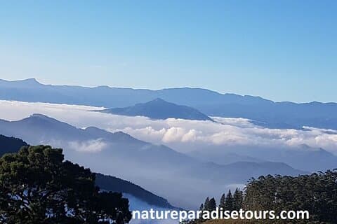 Excursión exclusiva para acampar nudillos desde kandy