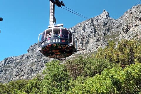 Table Mountain Cape Of Good Hope & Penguins Tour Shared Full Day