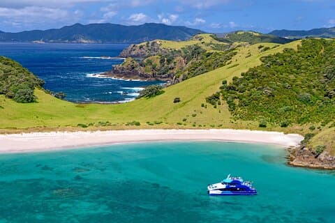 Visite en petit groupe de l'expérience de l'explorateur de la baie des îles au départ d'Auckland