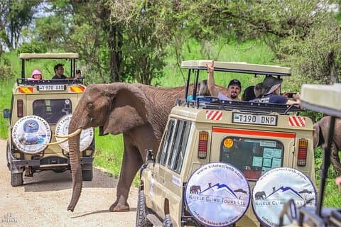 3 dias de degustação privada da Tanzânia Wilderness Safari-Camping Safari