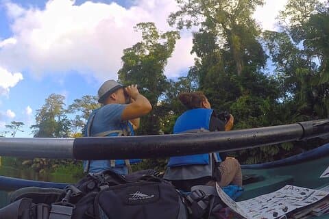 Meio dia / Canoa e caminhada de um dia para o Parque Nacional Tortuguero
