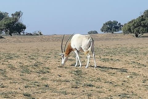 Tour to National Park in the South of Agadir