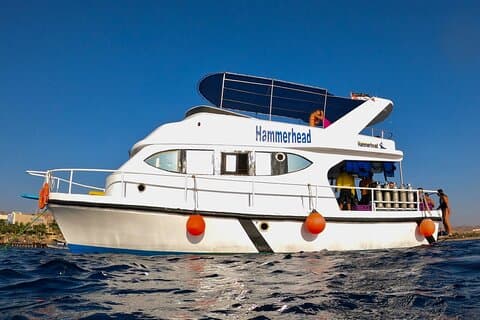 Boat Dive and Snorkeling Experience in Aqaba