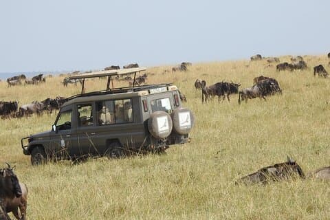 4-Day Mid-Range Safari (Night Game Drive in Tarangire)