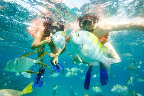 Snorkel em Pelican´s Beach Cabo San Lucas - Clássico