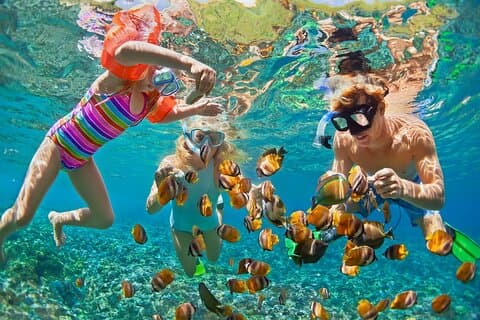 Day Trip From Phuket To Phi Phi Island By Cruise Youth