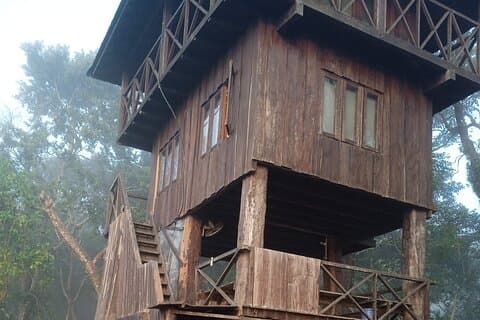 Estancia nocturna en Jungle Tower en el Parque Nacional de Chitwan 2 noches 3 días