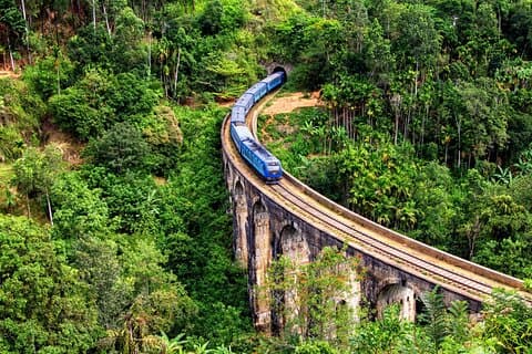 6-Day Guided Discovery Tour in Sri Lanka