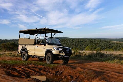 Safari d'une journée complète au parc national Kruger au départ de Hazyview (KBFD01)