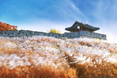 Suwon Hwaseong Fort Tour vanuit Seoul
