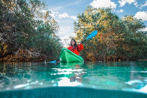 Mangrovepaddling i Abu Dhabi