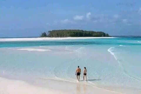 Zanzibar Snorkeling tours and swim with dolphins