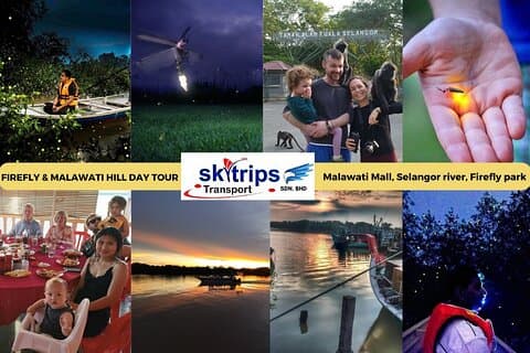 Fireflies de Kuala Selangor - templo das cavernas de Batu- dia do monte de MalawatiTour com jantar