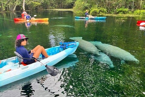 Silver Springs Kajakudlejning - Det bedste Florida-eventyr