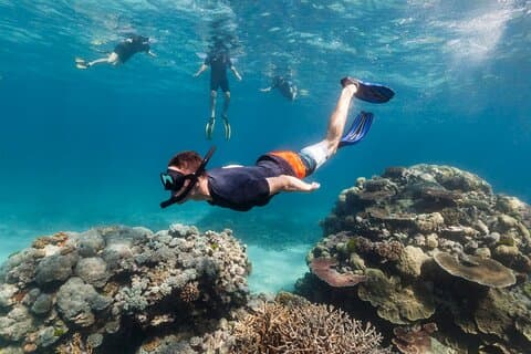 PADI Skin Diver (Snorkeling) - One Day Program