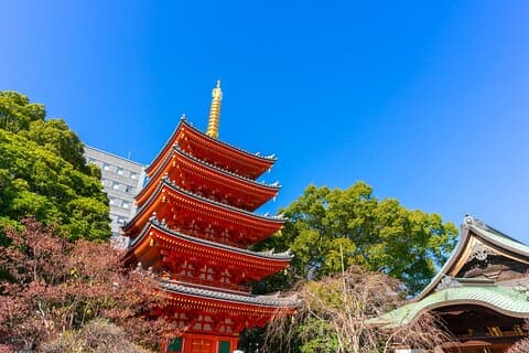 Tour privato di un'intera giornata a Fukuoka dal porto crocieristico di Sasebo