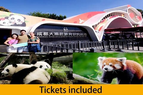 Chengdu Panda Base-tour van een halve dag
