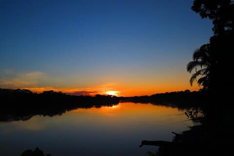 Amazon Rainforest Tour from Cusco – Tambopata Reserve 3D| 2N