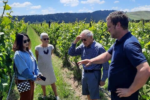 Martinborough Winery and Foodie Day Tour with vineyard lunch