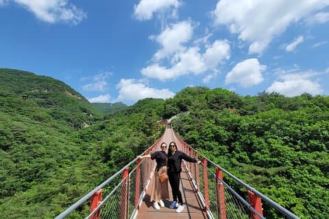 Seoul : Private DMZ Tour mit Hängebrücke