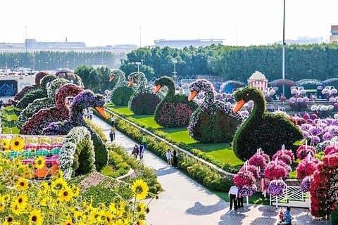 Dubai Miracle Garden and Global Village Shopping Tour