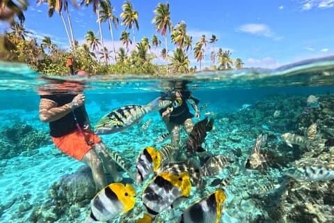 3H Adventure in JET SKI Snorkeling and Tahaa Lagoon