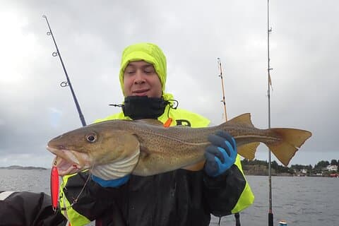 Mezza giornata Pesca e cucina Stavanger