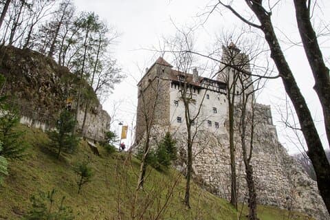 Day Trip Bear Sanctuary, Bran Castle, Rasnov Fortress from Brasov