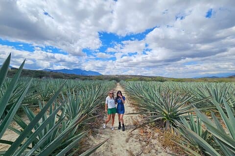 Danzantes Premium Mezcal, Hierve el Agua, Tecidos e Almoço