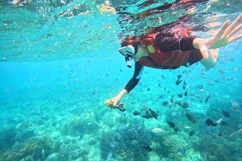 Nha Trang Snorkeling : Isla Mun y arrecifes de coral