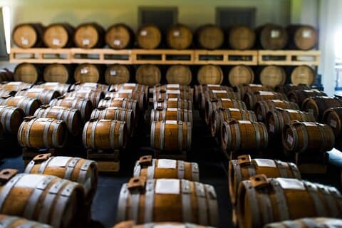 Visit at Modena Balsamic Vinegar producer
