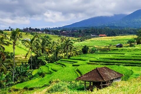 Jatiluwih UNESCO Rice Terraces: Self-Guided Walk