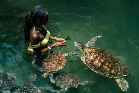 Volledige dag privé Zanzibar-tour met Sunset Beach
