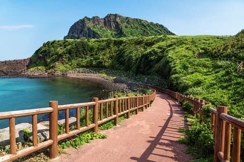 Private Tour Jeju Island East & South & West from Seogwipo