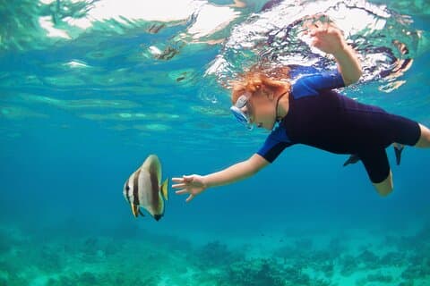 Private Tour Snorkeling to Explore Hidden Coral Spots