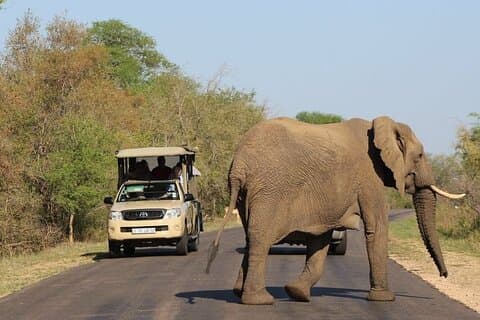 Tour de 2 días por la ruta panorámica y safari por el parque Kruger desde Hazyview