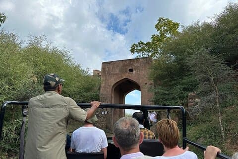Experiencia de safari de dos noches en el Parque Nacional Ranthambore y traslados