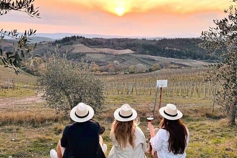 2 wineries Chianti Wine Tasting & Vineyards Walk Private Tour