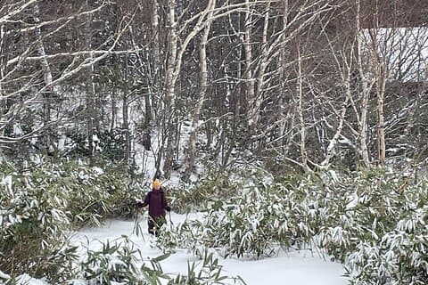 Full Day Snowshoeing Adventures with Onsen.