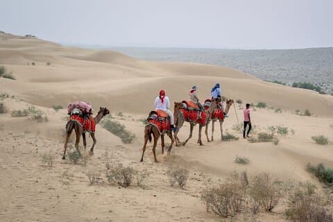 Half Day Sunset Camel Safari Jaisalmer