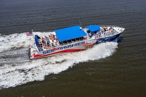 Sea Thunder Cruise-2 Hour Tour Surrounded by Dolphins in S.C