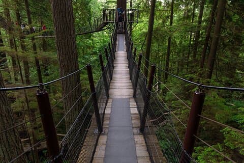 Privat Grouse Mountain og Capilano Park Tour i Vancouver