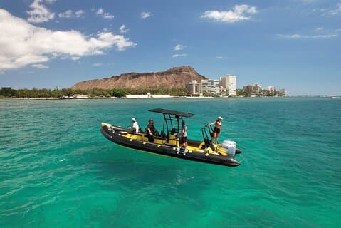Turtle Canyon Snorkel Adventure - Small Group 6 Passengers