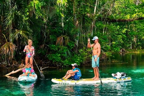 Silver Springs Paddleboard Tour Manatees & Monkeys